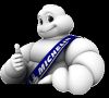 Picture of Tire 16-100/80 CITY PRO TL/TT Michelin