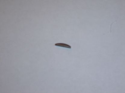 Picture of Woodruff Honda SS, CD, C, Vision, GY6