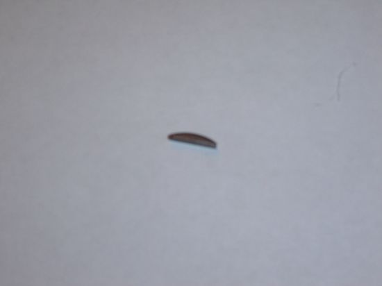 Picture of Woodruff Honda SS, CD, C, Vision, GY6