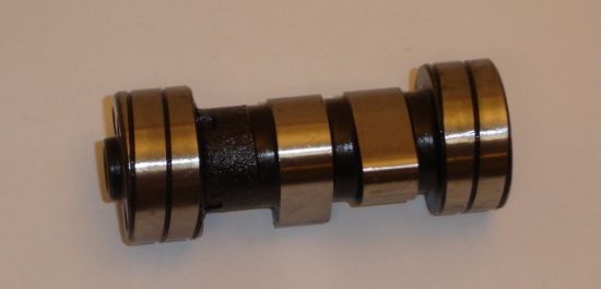 Afbeeldingen van Nokkenas Standaard SS, CD, C OT repro