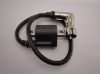 Picture of Coil ignition Hanway, Mash, Honda MT50