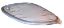 Picture of Winker glass Piaggio NRG RST, RH FR