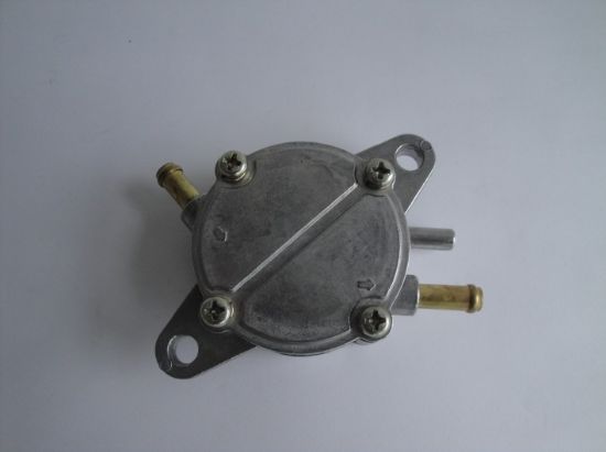 Picture of Fuel pump Skyteam T-Rex 44127-22H00