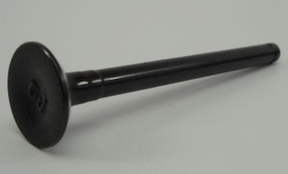 Picture of Valve exhaust 50cc Skyteam NT
