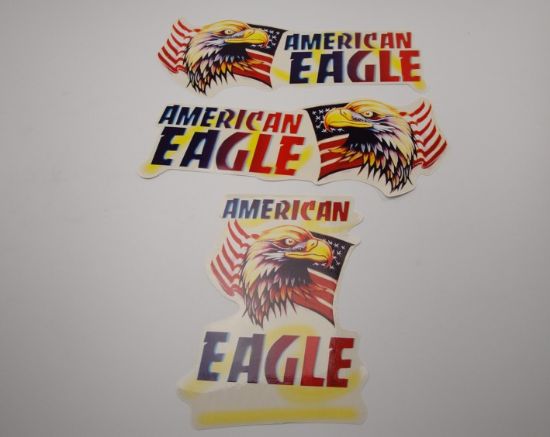 Afbeeldingen van Transferset Uni. American Eagle 3-dlg.