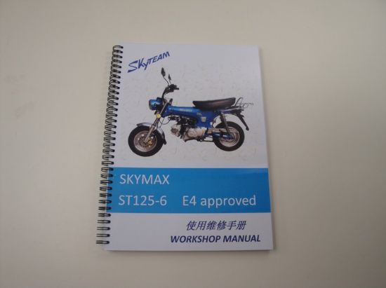 Afbeeldingen van Werkplaats Boek Skyteam 125cc Euro4