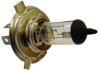 Picture of Bulb 12V 35/35W PX43t HS1 for Kymco