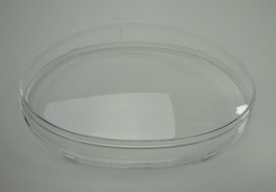 Afbeeldingen van Tellerglas Sym Fiddle 2 origineel