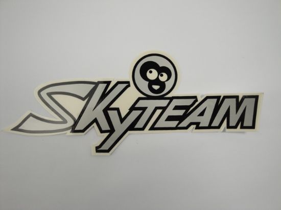 Picture of Transfer frame Skyteam 