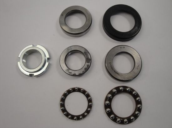 Picture of Frontfrok bearing Hanway Muscle, Scrambl