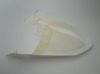 Picture of Front fender white Motrac Urban M3