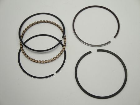 Afbeelding voor categorie Zuigerveren 