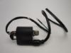 Picture of Ignitioncoil Skymini Skyteam Monkey 