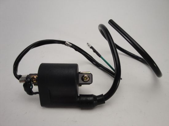 Picture of Ignitioncoil Skymini Skyteam Monkey 