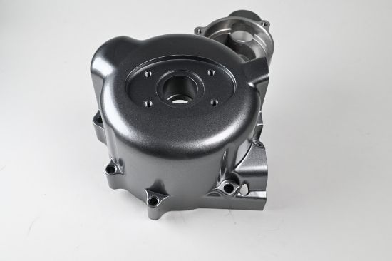 Picture of Ignition side cover LH Skyteam Ace 125cc