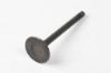 Picture of Valve Exhaust Skyteam, Hanway 22mm